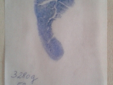 Maurice Fleischhauer 1