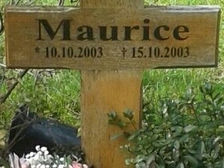 Maurice Riese 14