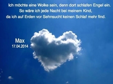 Max Sommer 7