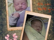 Melina Jasmin Root 1