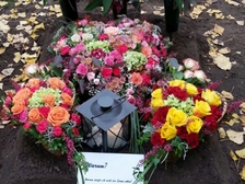 Melina Jasmin Root 5