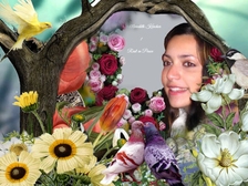 Meredith Kercher 122