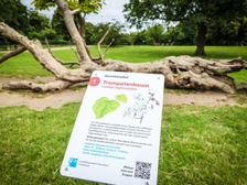 Messer-Opfer Solingen 149