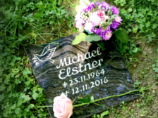 Michael Elstner 4