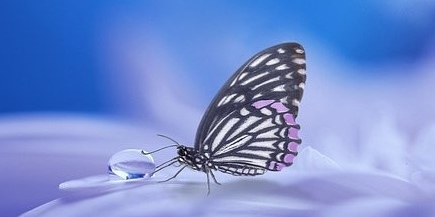 Stimmungsbild-Michael-Müller-37