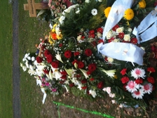 Michael Rudolf Dlugosch 1