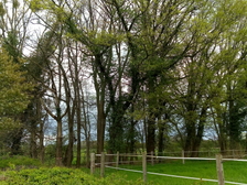 Michael Schoppmann 15