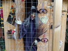 Michael Schoppmann 38