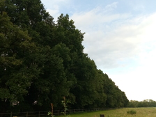 Michael Schoppmann 49