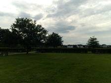 Michael Schoppmann 50