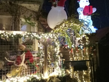 Michael Schoppmann 55