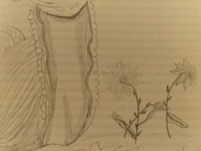 Michael Schoppmann 63