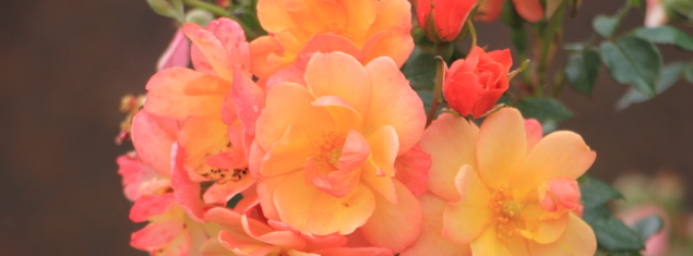 Stimmungsbild-Michael-Wurst-1