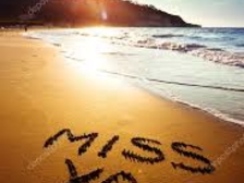 Miguel Gonzalez Calleja 5