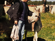 Milorad Perduv 61