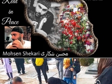 Mohsen Shekari 45