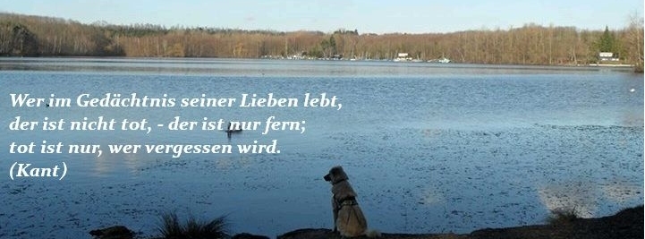 Stimmungsbild-Monika-Altendorf-2