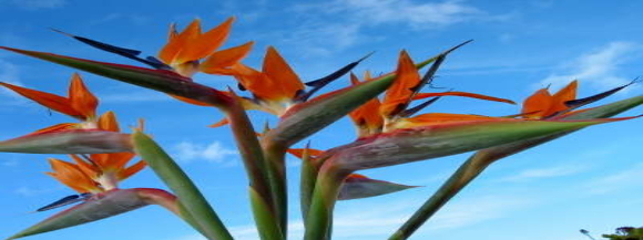 Stimmungsbild-Monika-Ullmann-1