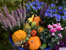 Natascha Iris Heuse 12