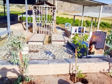 Nika Shakarami 371