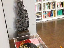 Nika Shakarami 391