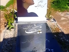 Nika Shakarami 623