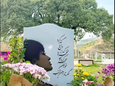Nika Shakarami 630