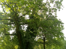 Opfer des zweiten Weltkrieges 12