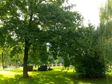 Opfer des zweiten Weltkrieges 34