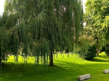 Opfer des zweiten Weltkrieges 35