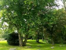 Opfer des zweiten Weltkrieges 38