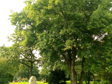 Opfer des zweiten Weltkrieges 39