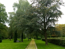 Opfer des zweiten Weltkrieges 47