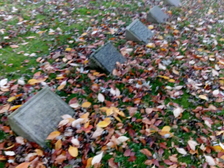 Opfer des zweiten Weltkrieges 65