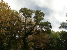 Opfer des zweiten Weltkrieges 7