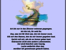 Patrick Schuster 102
