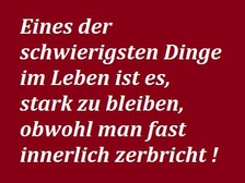 Patrick Schuster 80
