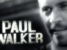 Paul Walker 24