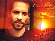 Paul Walker 63