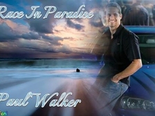 Paul Walker 81