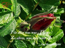 Peter Pausewang 125