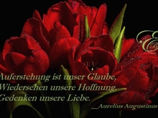 Peter Pausewang 73