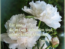 Peter Pausewang 76