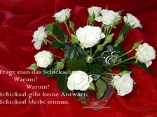 Peter Pausewang 82
