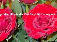 Peter Pausewang 84