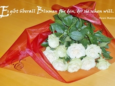 Peter Pausewang 87