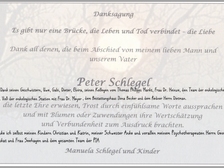 Peter Schlegel 4