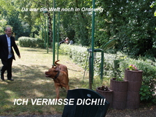 Peter Tritschler 7