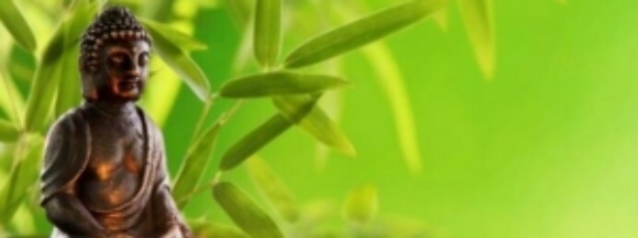 Stimmungsbild-Petra-Czernio-1