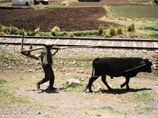 Raimund Heinreichsberger 144